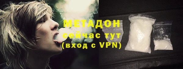 сатива Корсаков