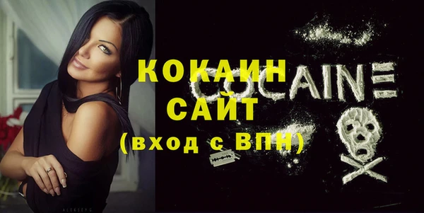 сатива Корсаков