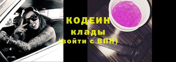 сатива Корсаков