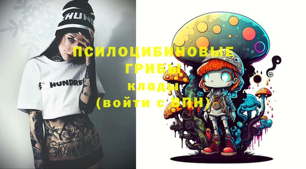сатива Корсаков
