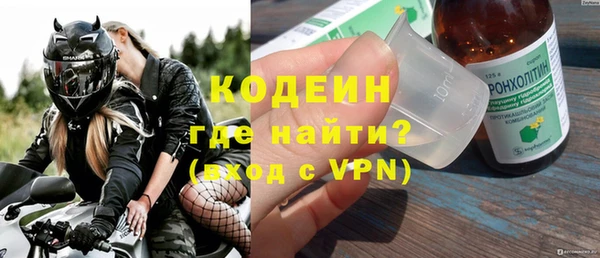 сатива Корсаков