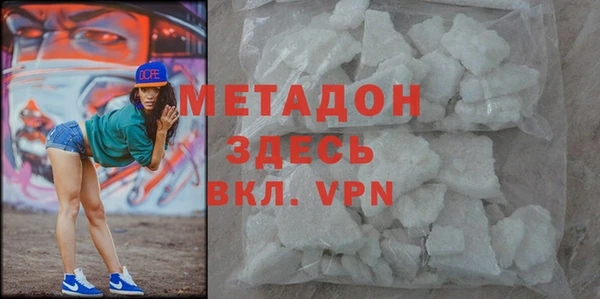 сатива Корсаков