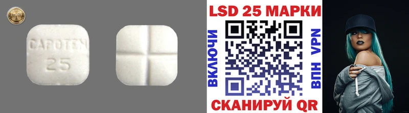 LSD-25 экстази ecstasy  Купить где  Канаш 